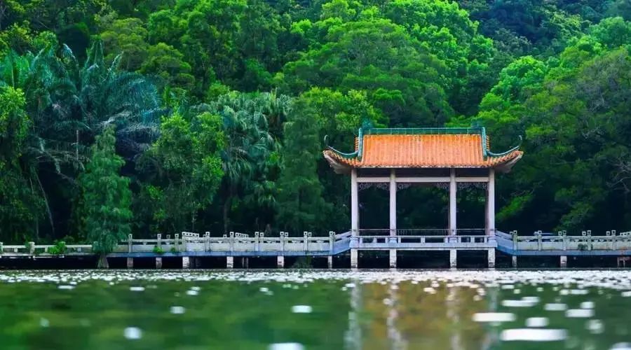 银湖沙龙邀请函|第208期:火爆全网的esg在中国的现状与展望