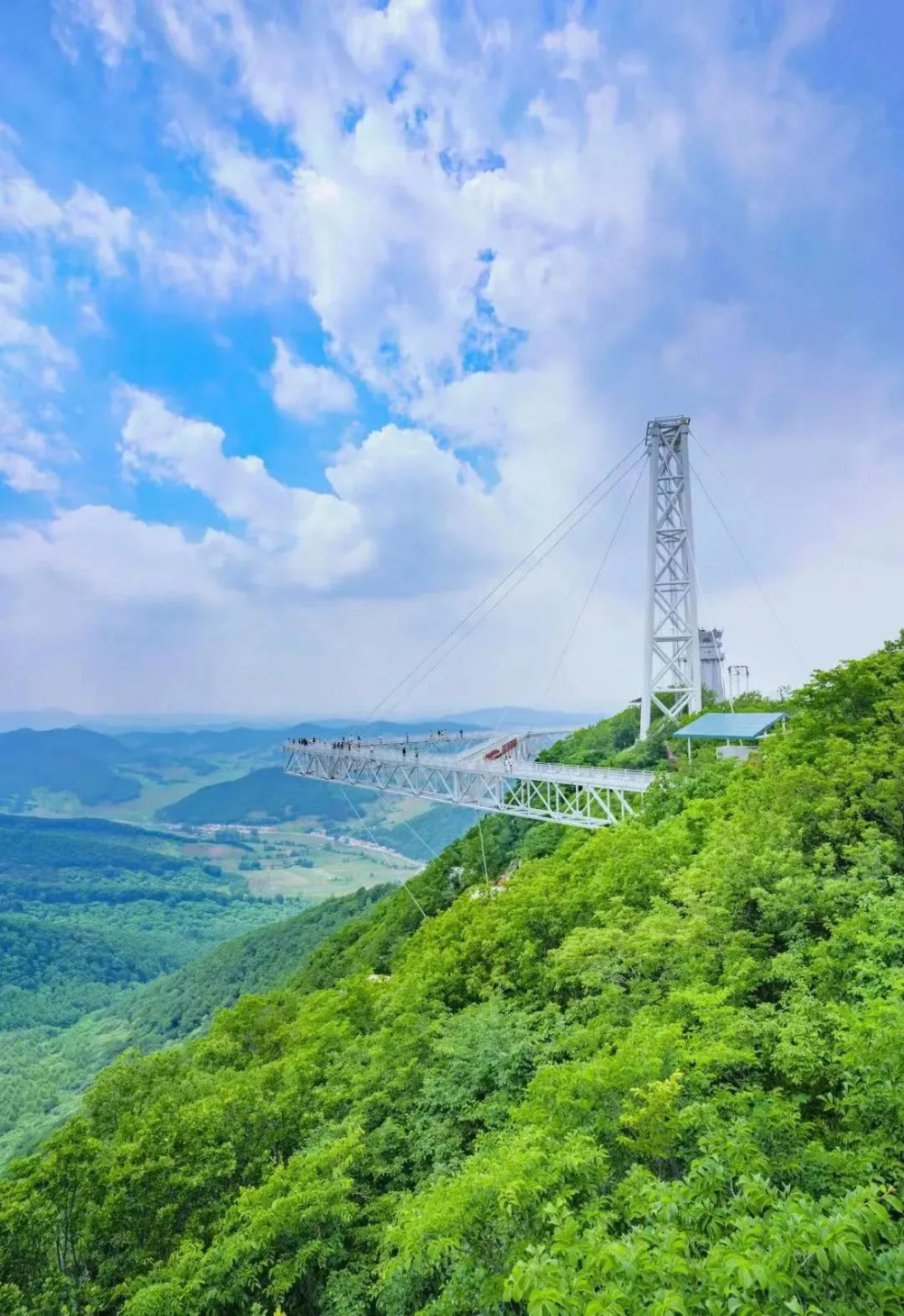 项目是神鹿峰的宗旨传递快乐时光学习到丰富有趣的鹿文化从鹿萌萌科普