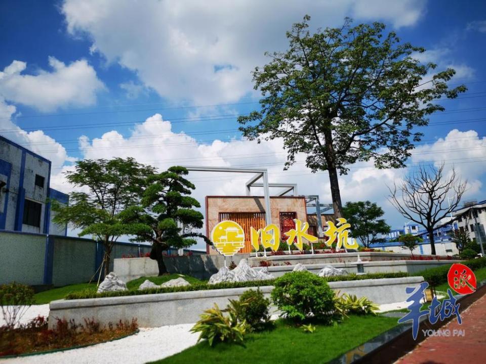 陈炯良:带领旧水坑村"二次创业",年收入增长超4千万元|寻找最美城乡