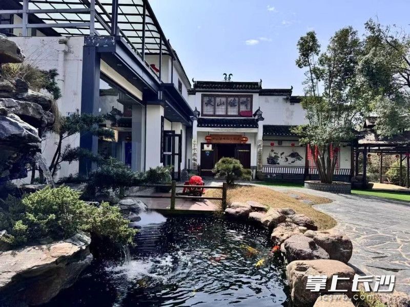 六一带娃去哪玩?这份乡村田园游攻略请查收