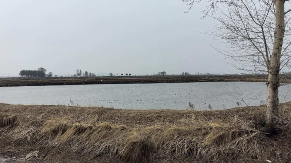 【春耕生产】延寿县丨加信镇开始水田泡田 水稻插秧进入"倒计时"