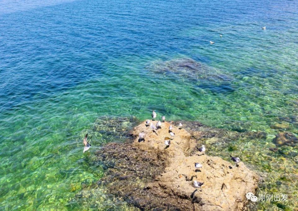 大连景点丨开发区红星渔村将军石