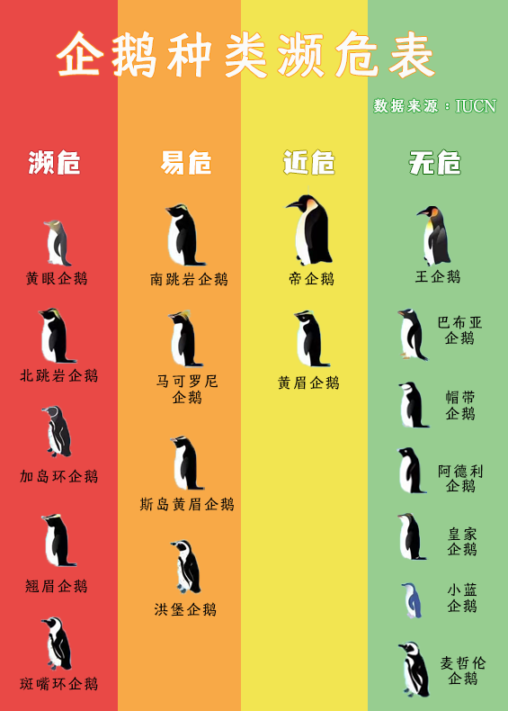 红网数说丨跟不上全球变暖的企鹅