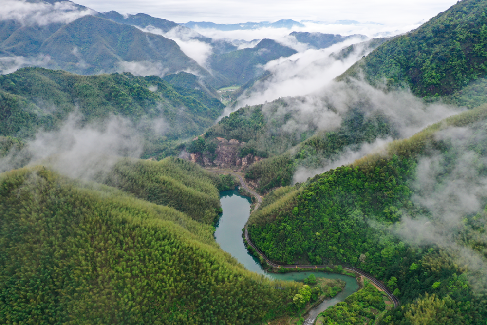 江西上饶五府山畲族三月三,有龙有凤,比广西还热闹_腾讯新闻