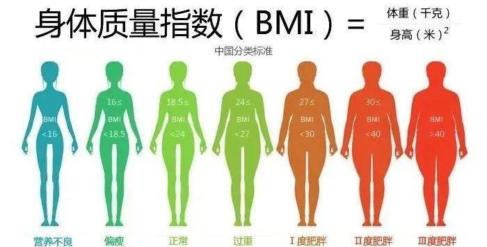 藥物減肥_減肥藥物奧利司他的作用機(jī)制是_減肥藥物前十名