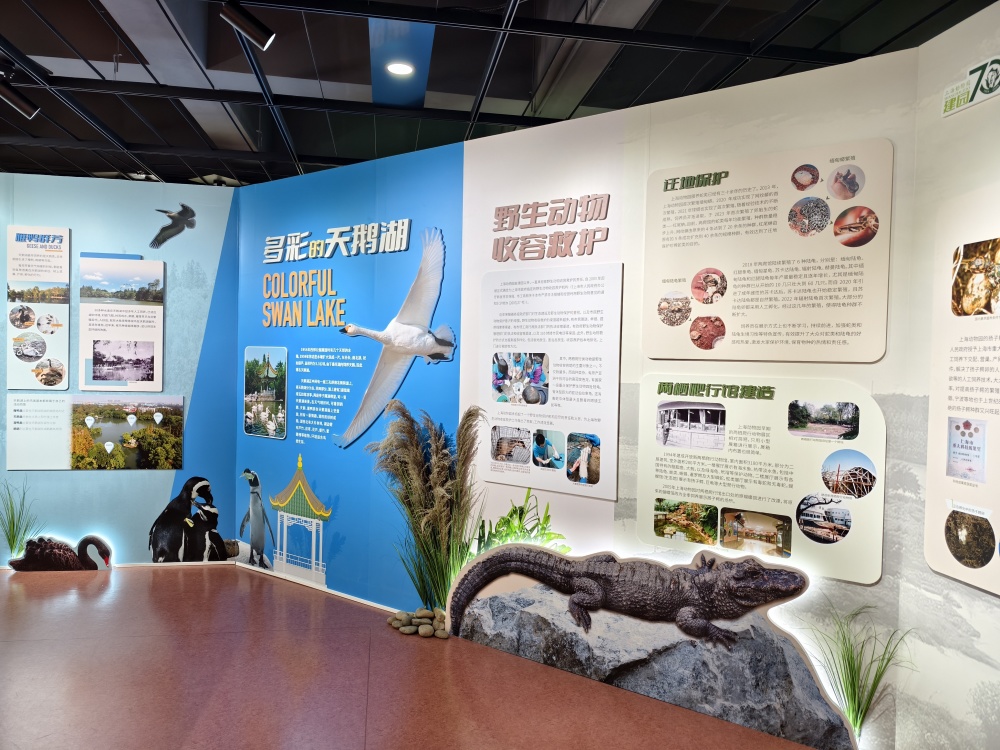 上海动物园70岁,开启一条"时光隧道"