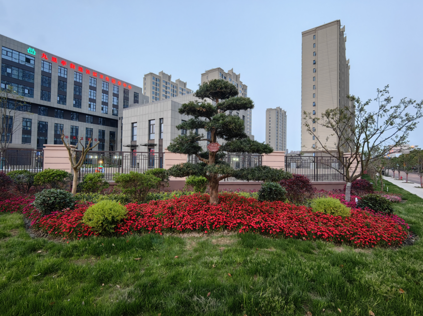 奖品丰厚九里亭这片城市管理精细化示范区等你来命名