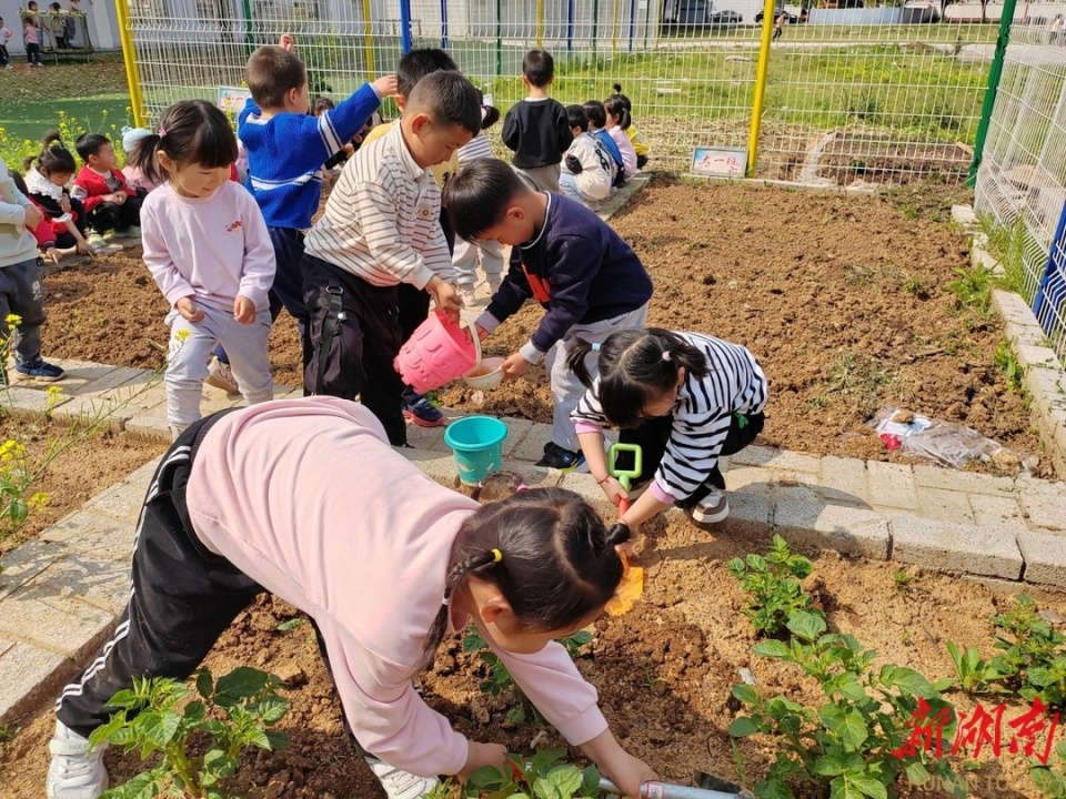 劳动中,老师们一边教孩子们栽种菜秧苗,种植玉米等,一边还用猜谜语,讲