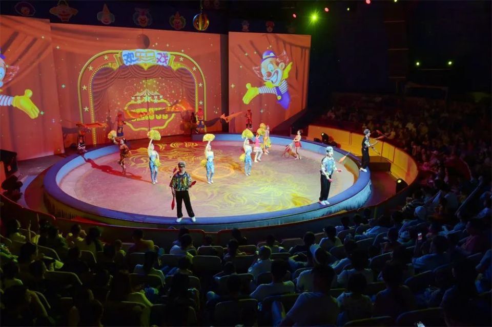 "萌童"遇"萌宠",开启《欢乐马戏》体验之旅