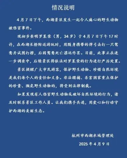 为什么宁静贴片这么贵聚焦浙里：中新社浙江新闻周报_https://www.jmylbn.com_新闻资讯_第35张