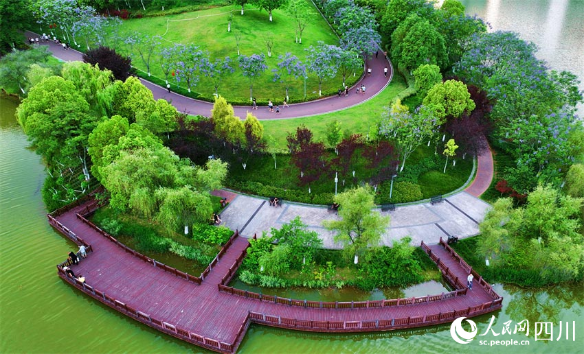 眉山仁寿:夏日好风景,公园美名城