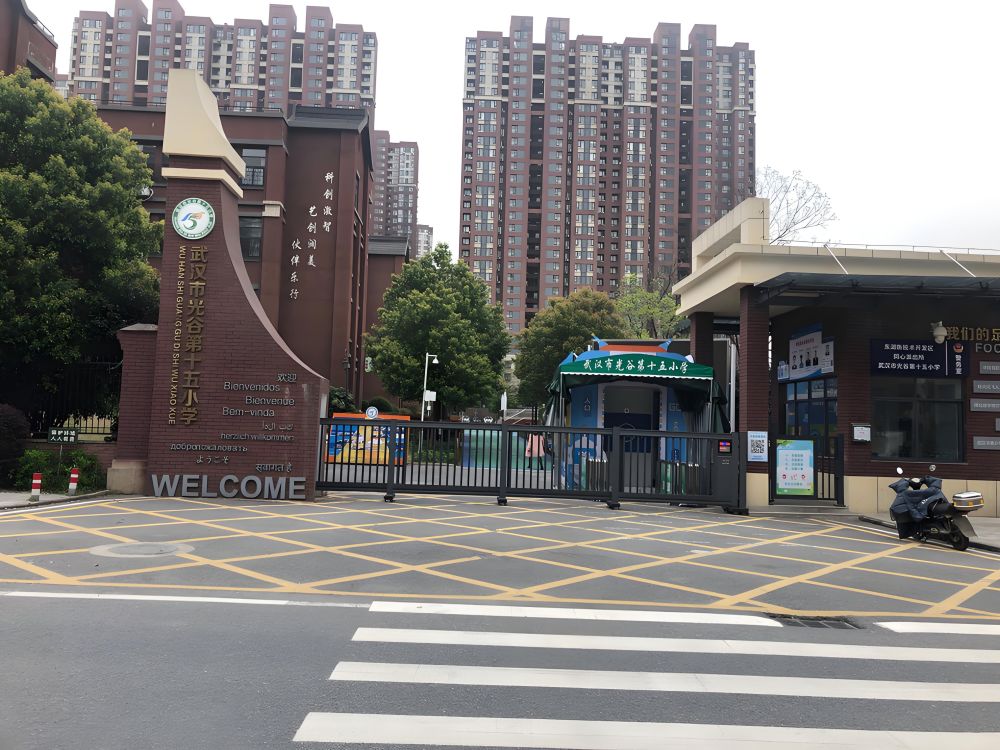 武汉家长投诉:小学生作业写到晚上12点!引发共鸣,教育局回应