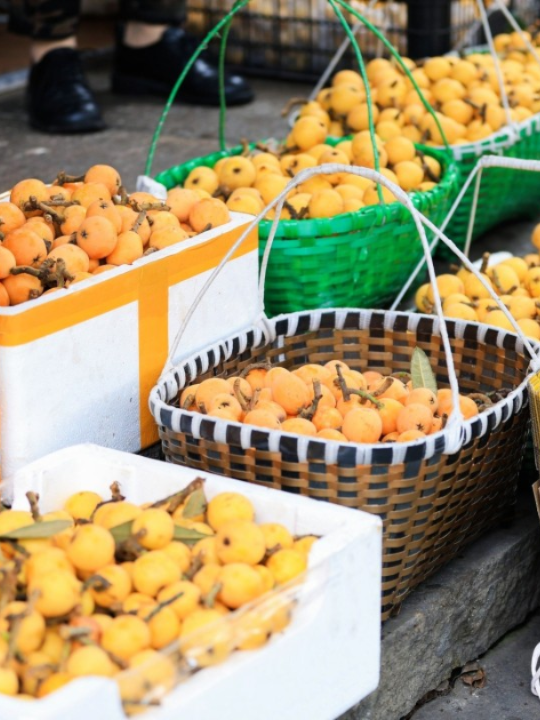 杭州这方水土满是传奇,养出了最甜的果子