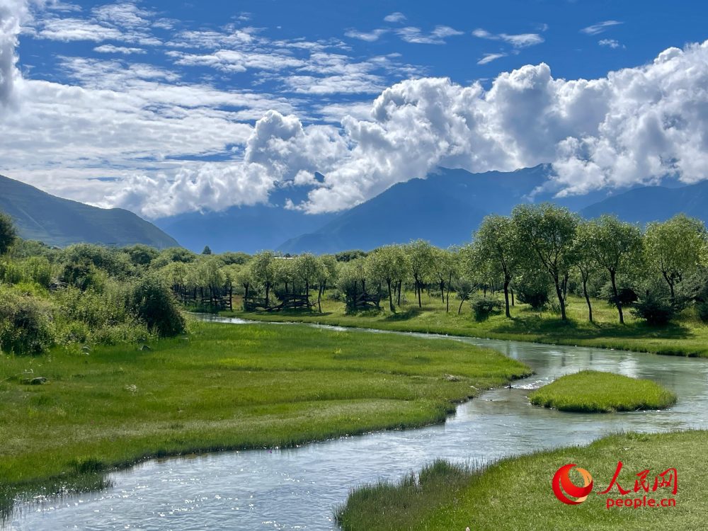 我们的家园|夏日的雅尼国家湿地公园 如诗如画