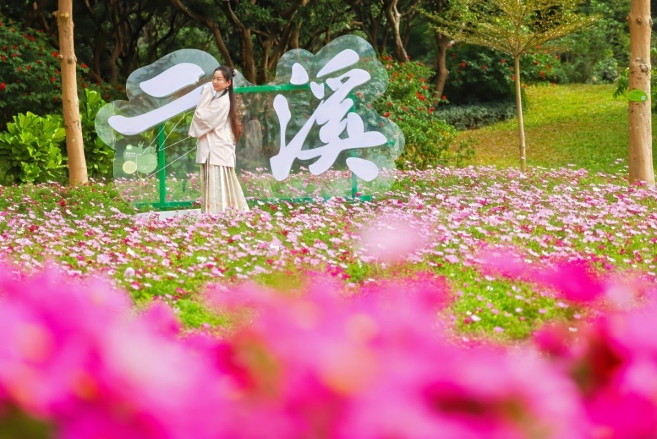 在花海杉林打卡羊城美景，云溪植物园元旦活动启幕_腾讯新闻