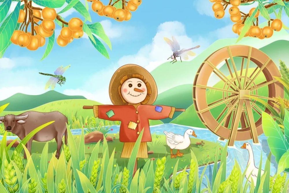 内江这里的枇杷熟啦,明天就去摘,再不去就晚了——_腾讯新闻