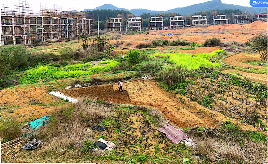 柳州首批破产资产招商项目发布!涉多家房地产公司