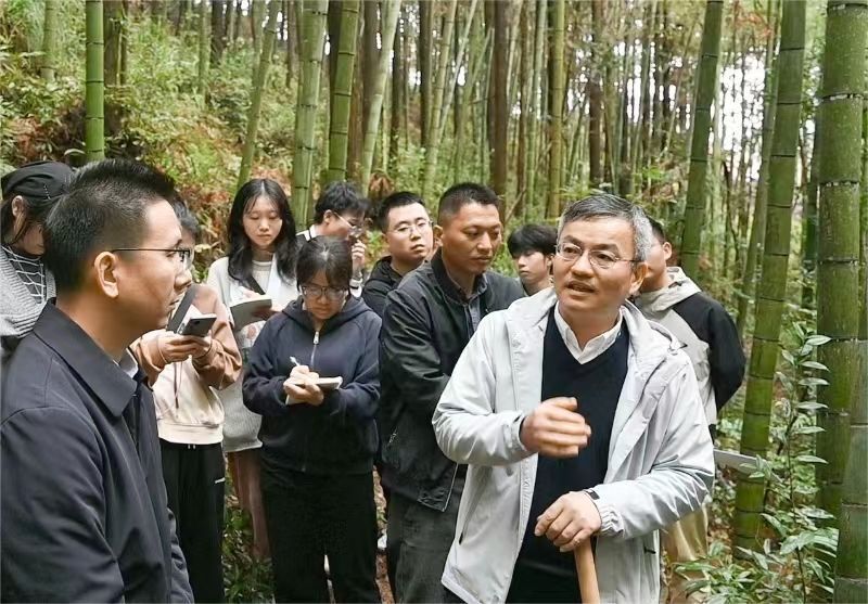 小竹子撑起大产业深职大助推和平县上陵镇竹产业振兴
