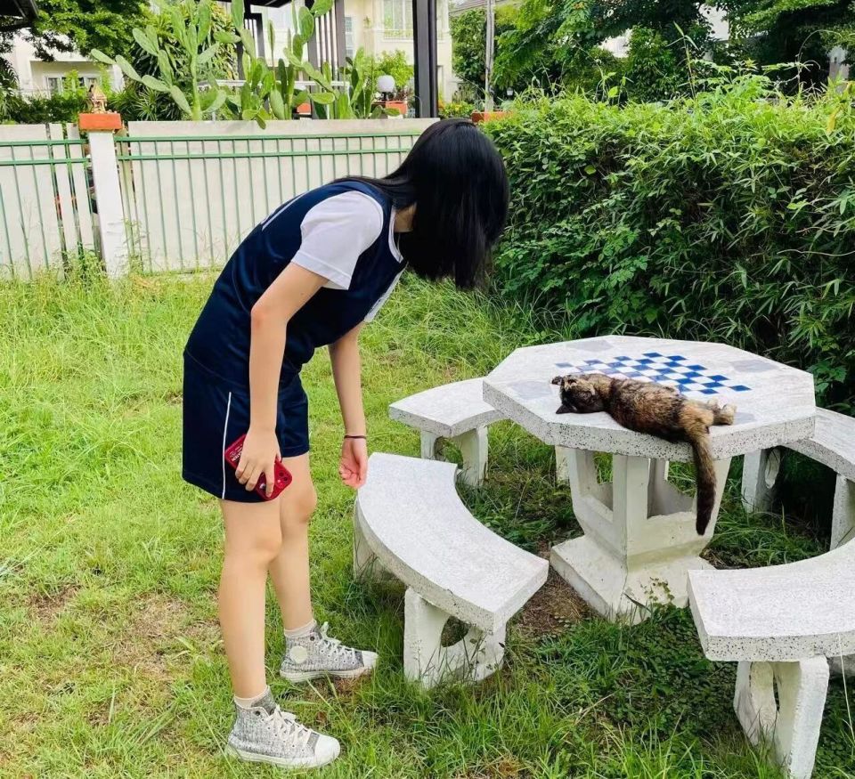 ͼƬ