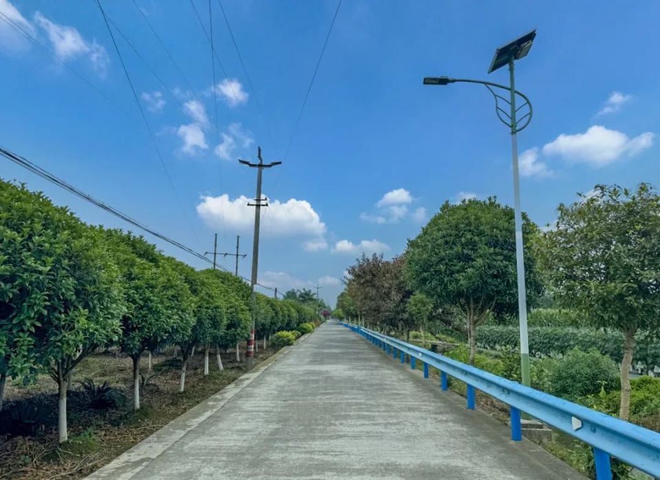 闲置变宝藏!峨眉这个村爆改"70后"资产