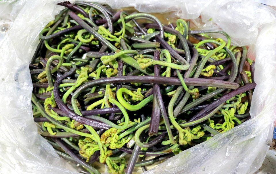 野菜上市的季节 快来会泽尝鲜_腾讯新闻