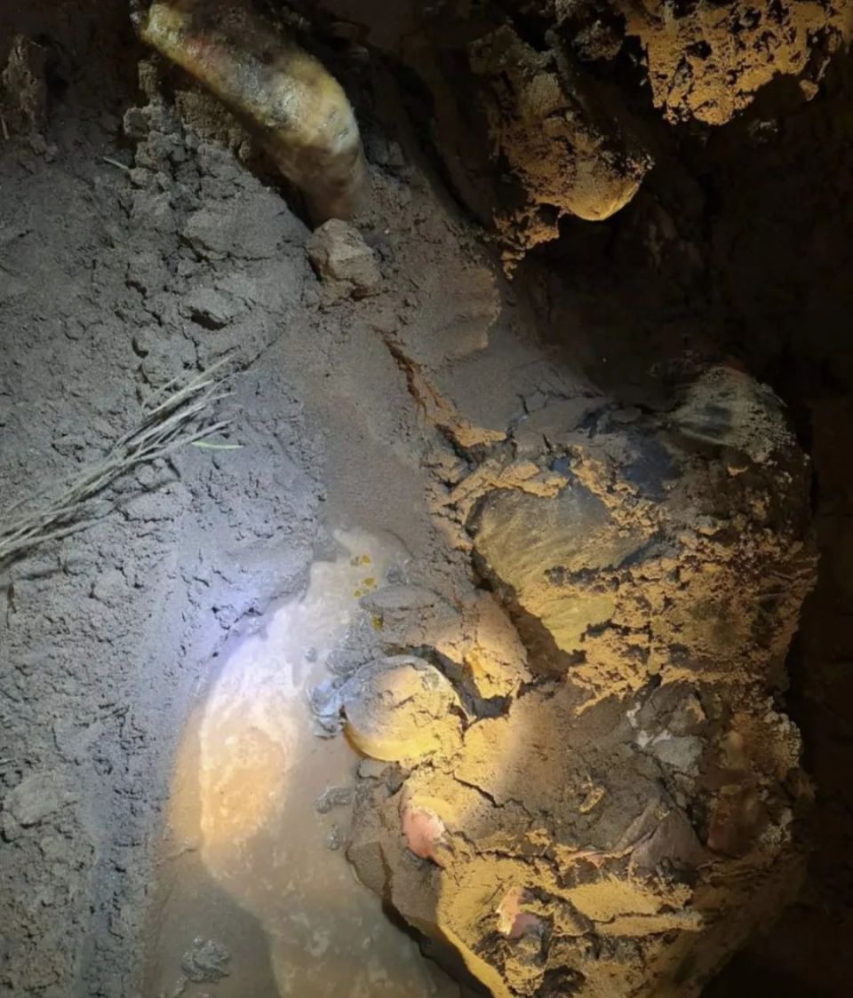 641