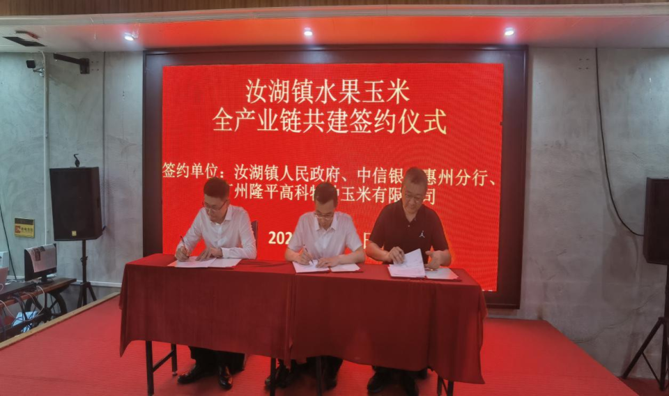 中信银行广州分行助力乡村振兴 综合金融服务“百千万工程”_腾讯新闻