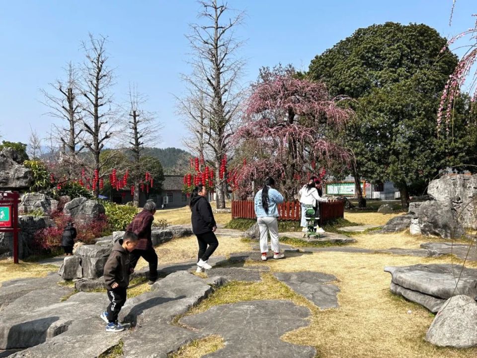 天晴好看梅快来湄潭乾艺梅园打卡