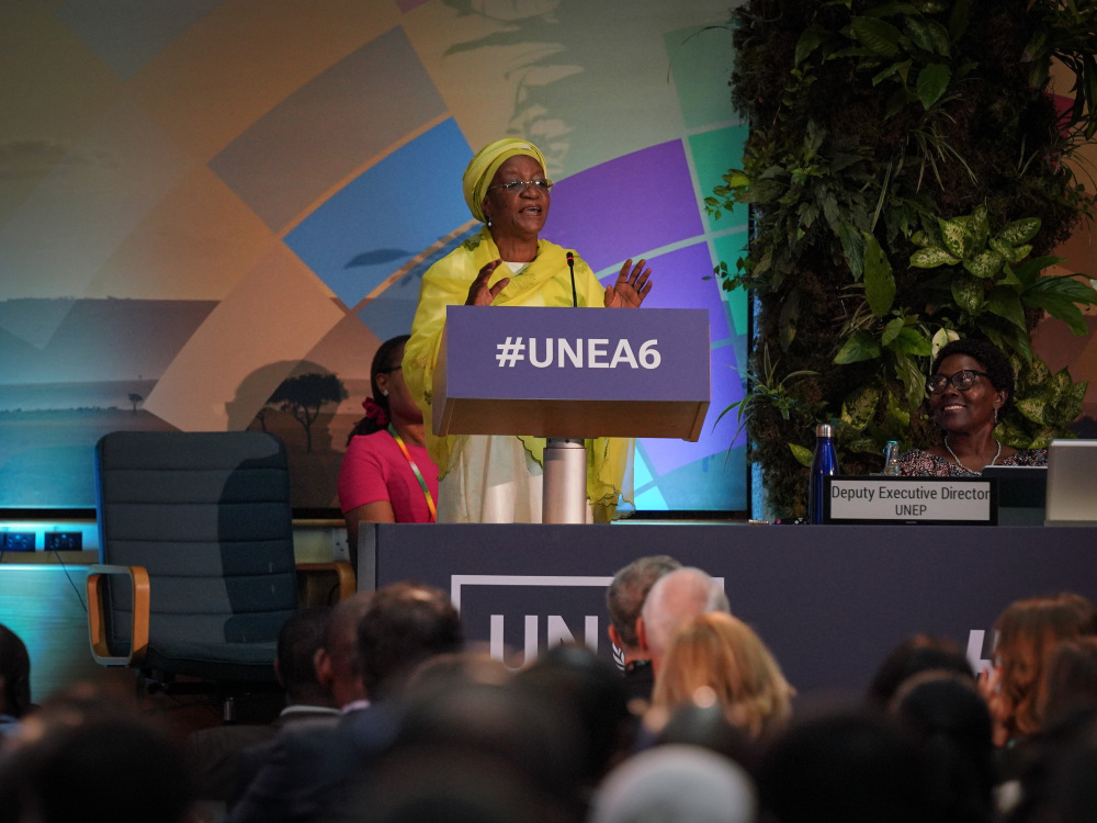 这是2月26日在肯尼亚首都内罗毕拍摄的第六届联合国环境大会开幕式