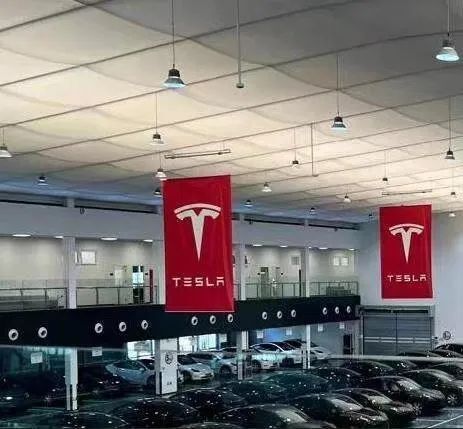 特斯拉"车顶女"被判道歉,赔偿17万元