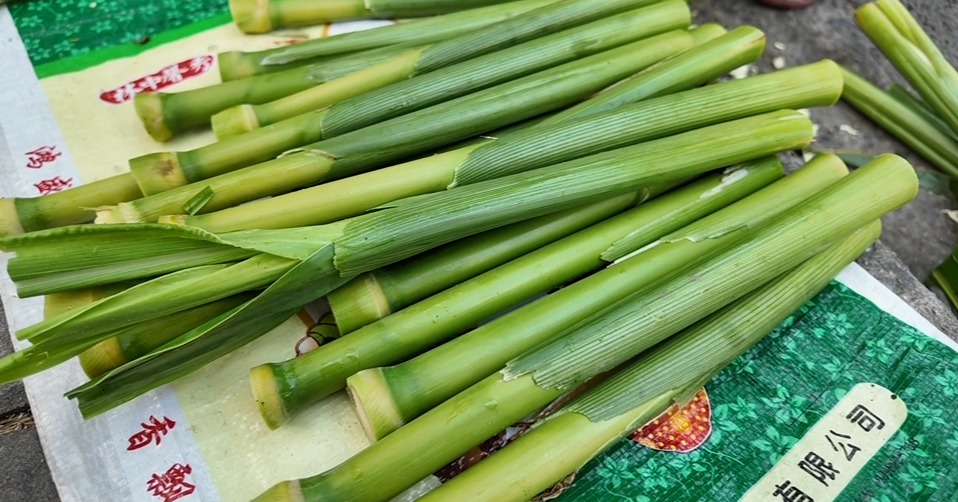 崇明芦穄正当时,你会挑吗?