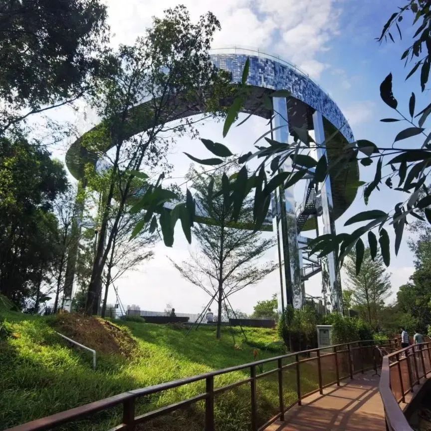 深圳这些公园"上新",清明踏青地铁可直达免费免预约!