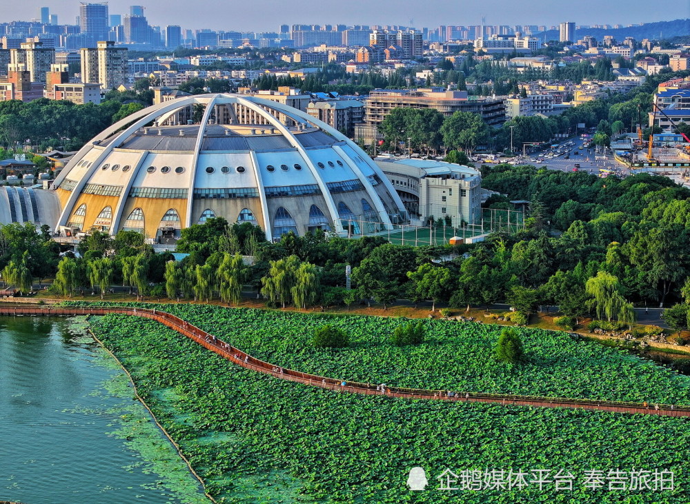 邺城玄武湖图片