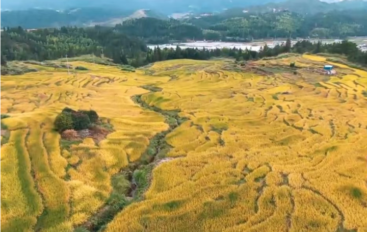 周宁县践行三库碳库重要理念走出云端之上土地节约集约新路子