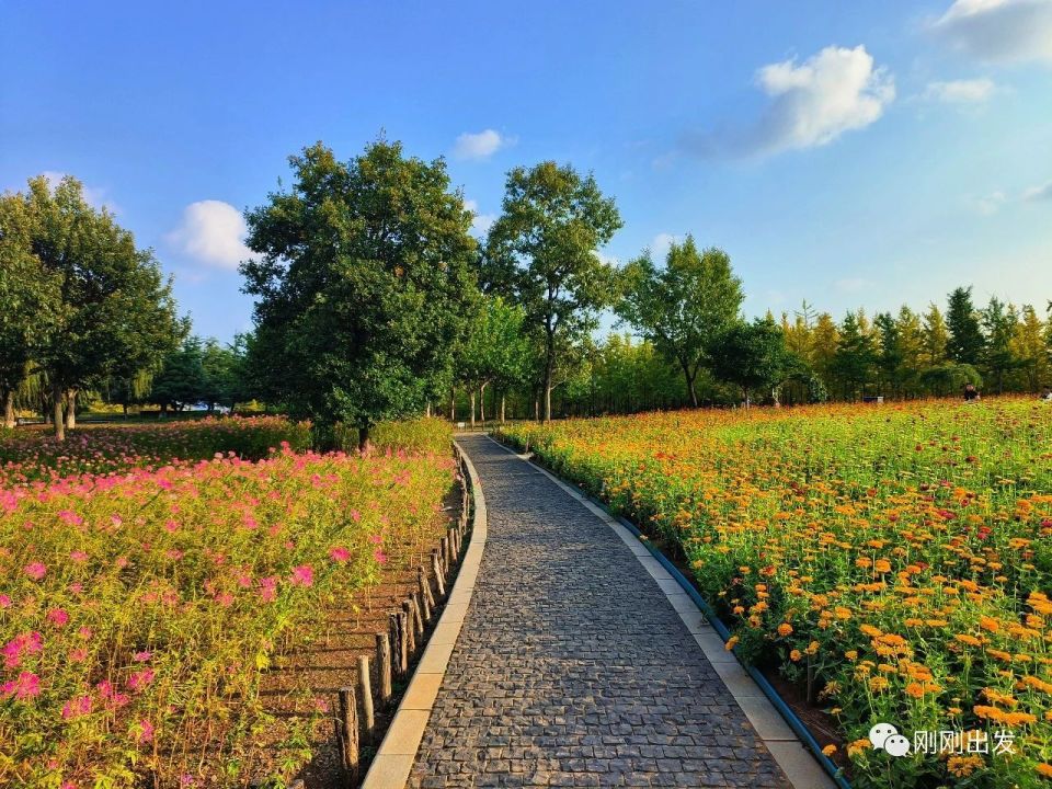 秋日大连董家沟植物园,赏花好地方,太美了_腾讯新闻