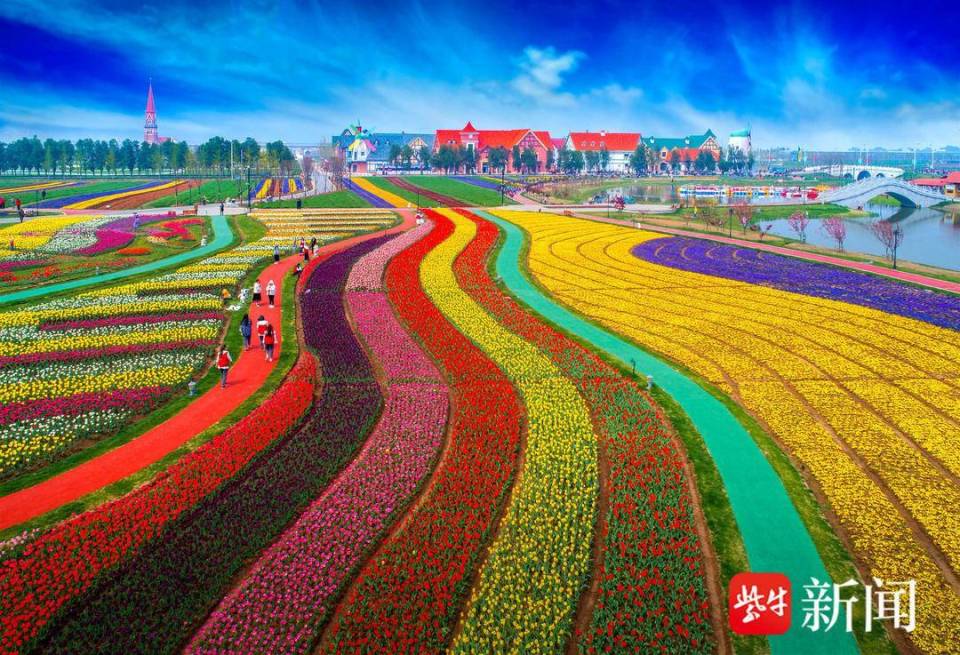 20万株郁金香盛开 灌云伊园春光撩人心醉_腾讯新闻