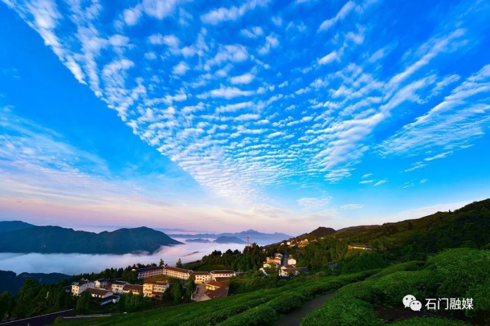 常德两单位入榜2023最受市场喜爱的湖湘避暑旅游目的地名单出炉