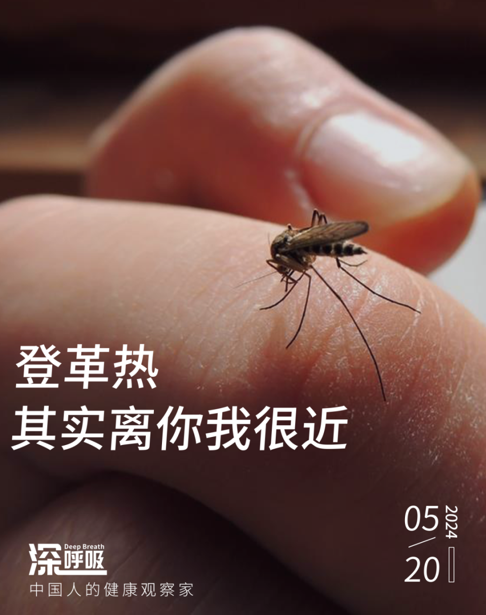 登革热来袭!国内已出现多个病例,卫健委重要提醒