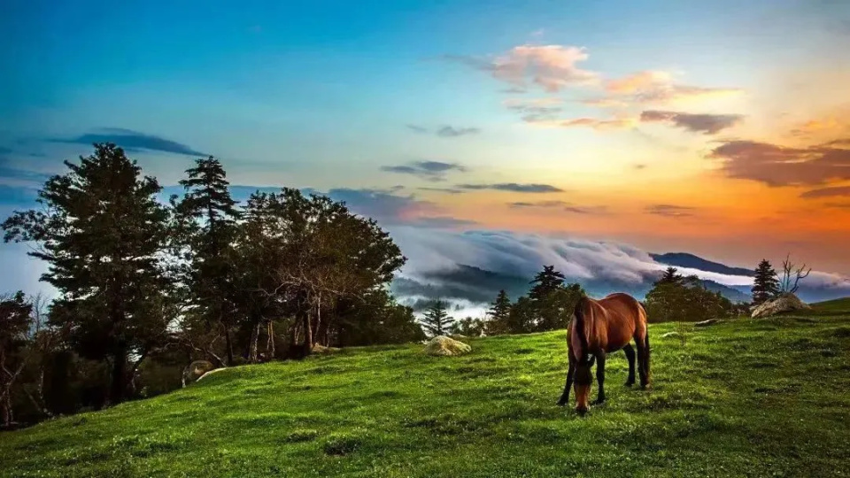 在吉林,向那些"春山"中走去!| 老秃顶子山