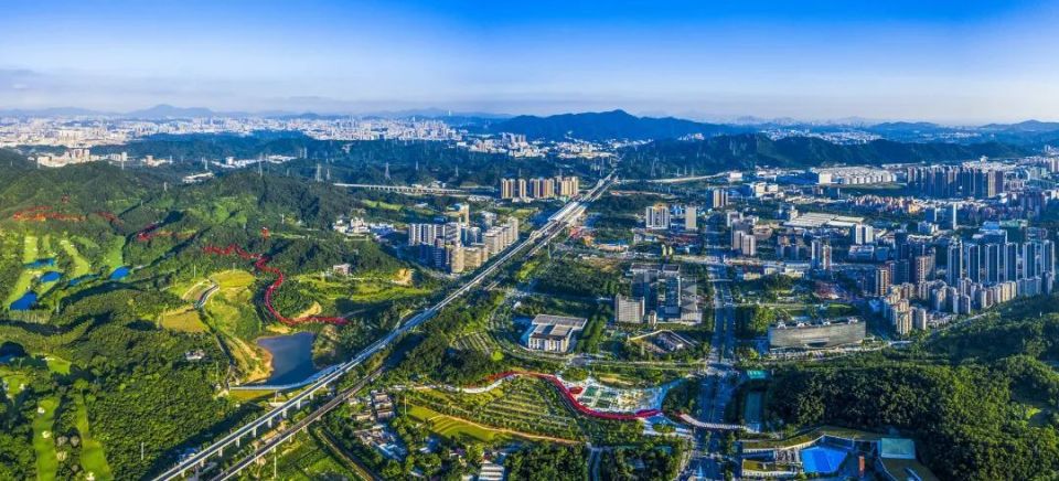 持续深化改革!光明街道"1 6 18 n"体系推动基层治理提质增效