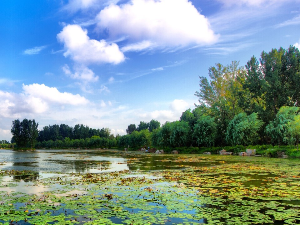 "下一步,我们将结合湿地公园第二个三年行动计划,水美弥河:美丽