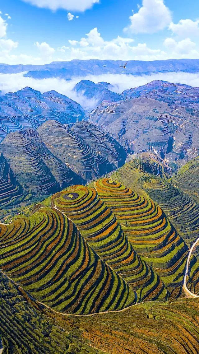 甘肃天水| "热辣滚烫"的爱酒之地_腾讯新闻