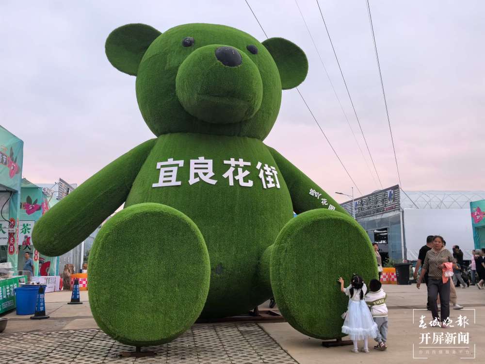 云南宜良花街节图片