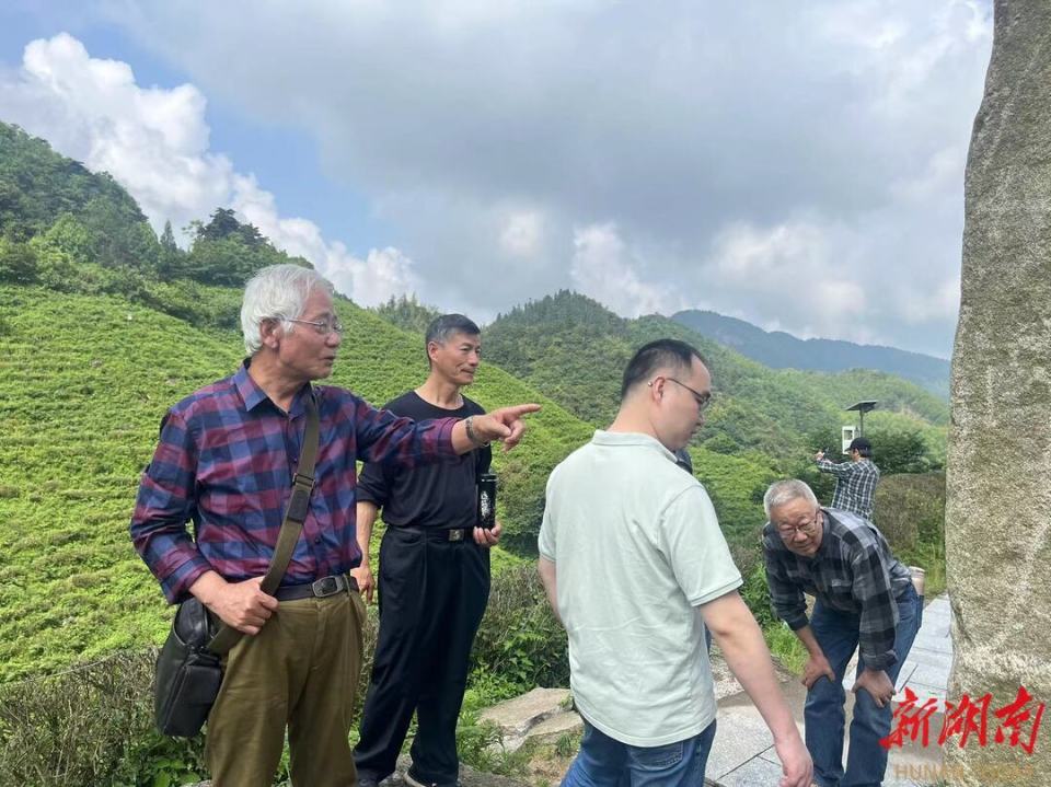 挥毫雁城 丹青溢彩——湖南省文史研究馆组织馆员赴衡阳创作采风