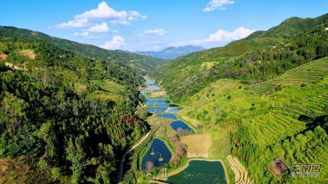 云南丘北集体经济活乡村产业兴