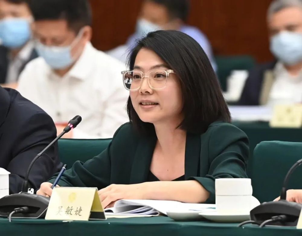 看过全国政协委员,艺术科普平台"意外艺术"创始人吴敏婕讲苏东坡系列