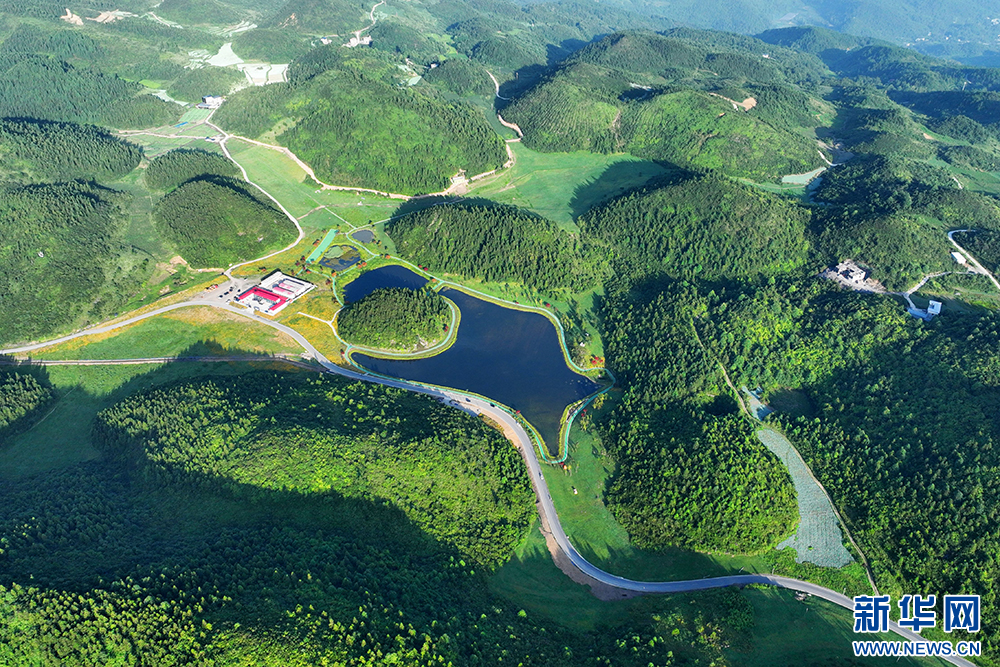 重庆:高山草原觅清凉