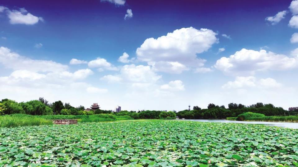 雨后的东昌湖风景如画
