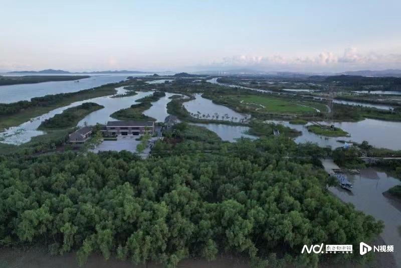 深調研翠亨新區以一流都市標準建設宜居之城