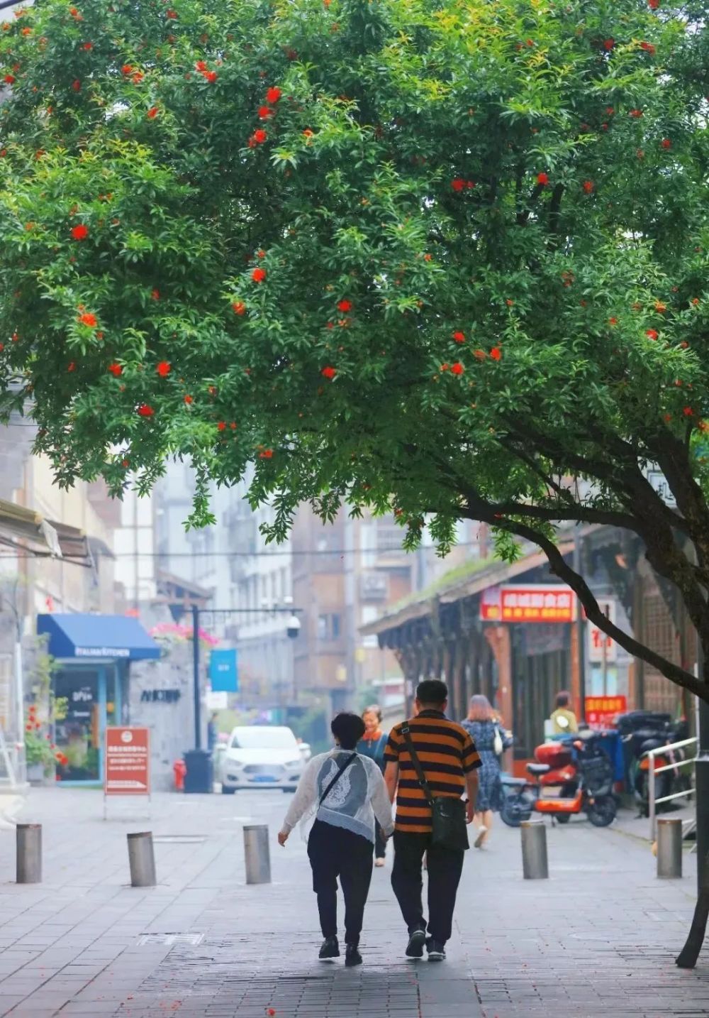 图据丨青城山都江堰【幸福路】和【南街】一到夏天,街道旁那形态各异